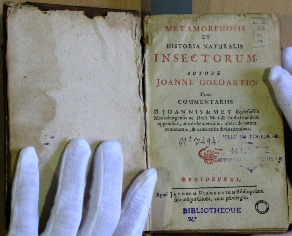 L'ouvrage le plus ancien conservé à la bibliothèque du muséum de Toulouse