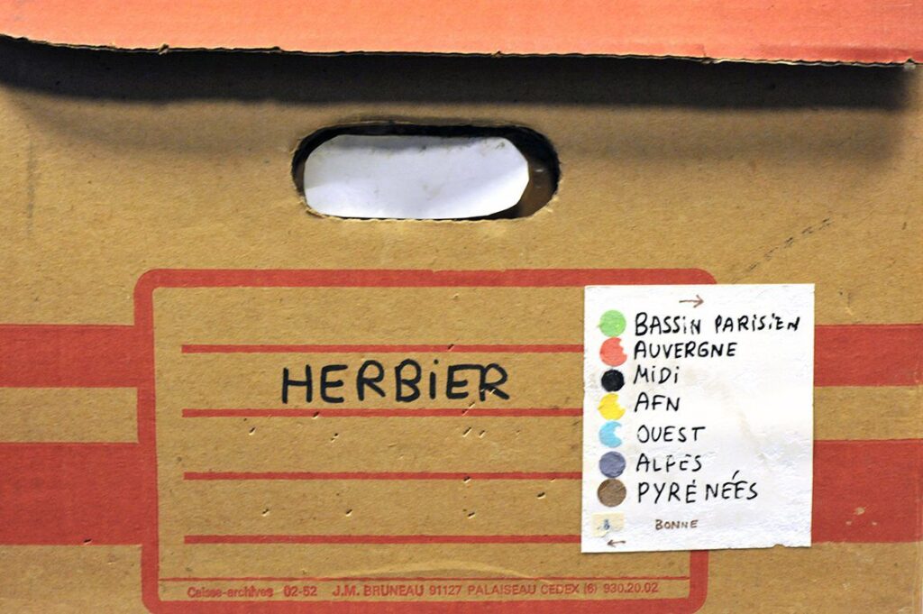 Herbier Michel Emerit, collections du muséum de Toulouse