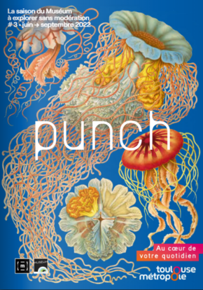 Punch n°3