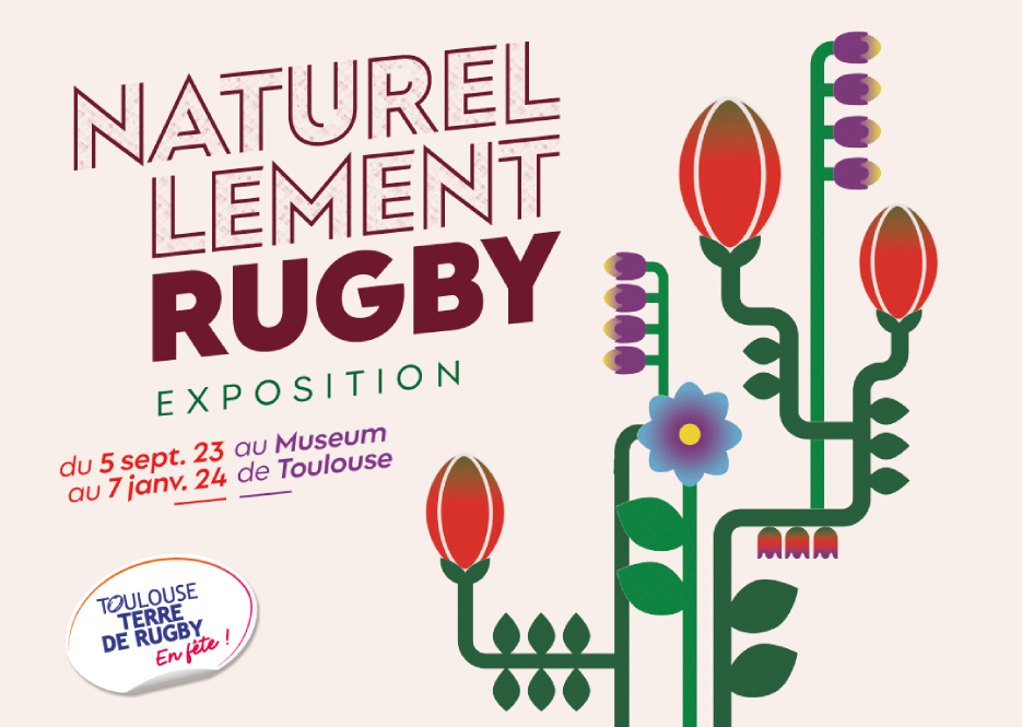 exposition naturellement rugby du 5 septembre 2023 au 7 janvier 2024