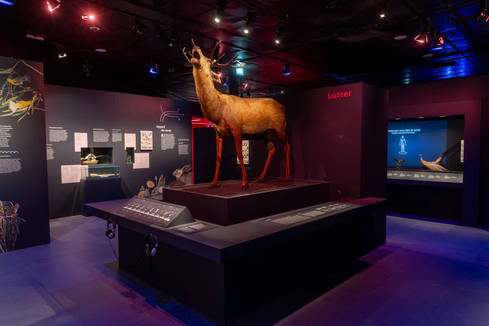 Sex-appeal, la scandaleuse vie de la nature - Muséum de Toulouse