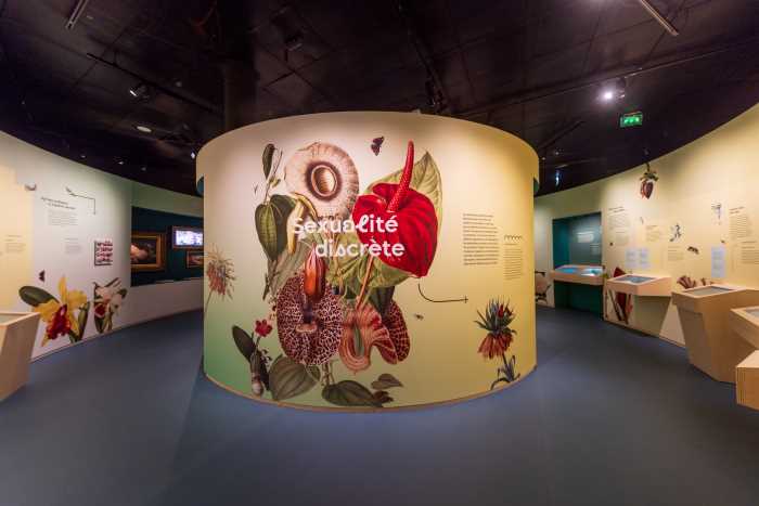 photo de l'exposition Sex-appeal au Muséum de Toulouse