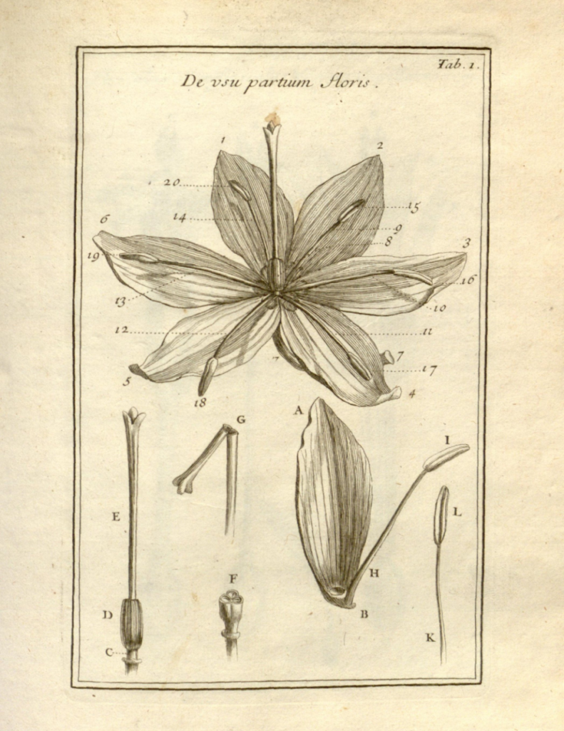 Éléments de botanique ou Méthode pour connaître les plantes par Joseph Pitton (1694)