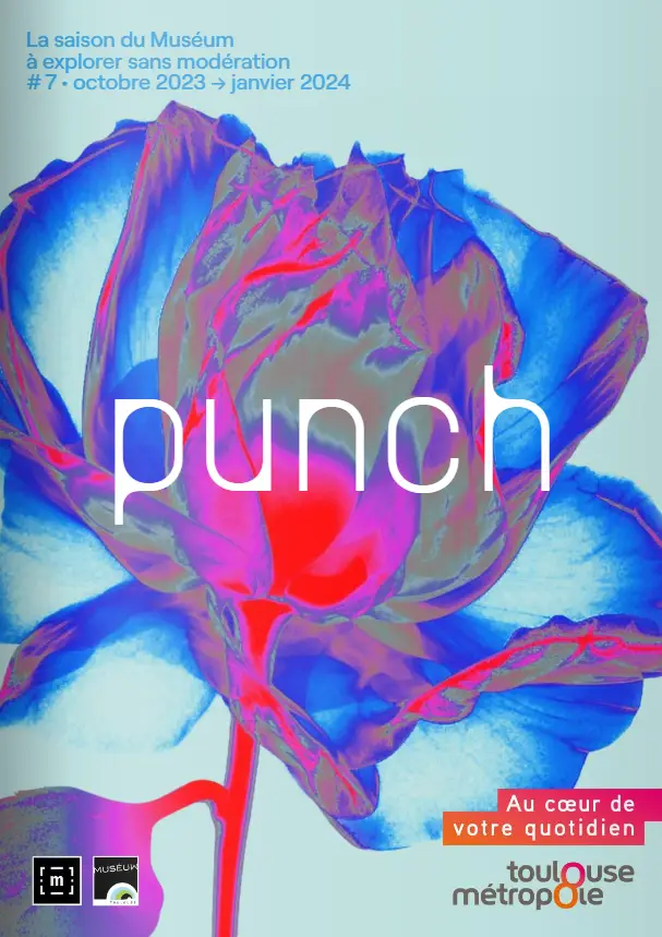 magazine punch numéro 7