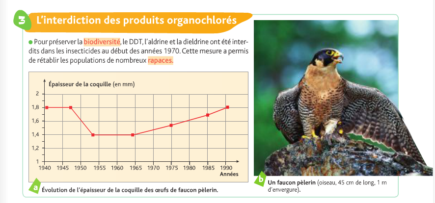 Graphique issu d'un manuel scolaire (source incconue) montrant la coorélation entre l'interdiction de la DDT, de l'aldrine et la dieldrine et l'épaisseur de la coquille des faucons pèlerins.