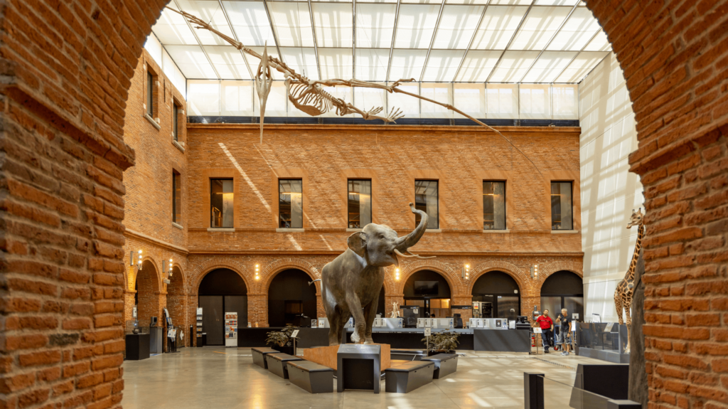 photo du grand carré au Muséum