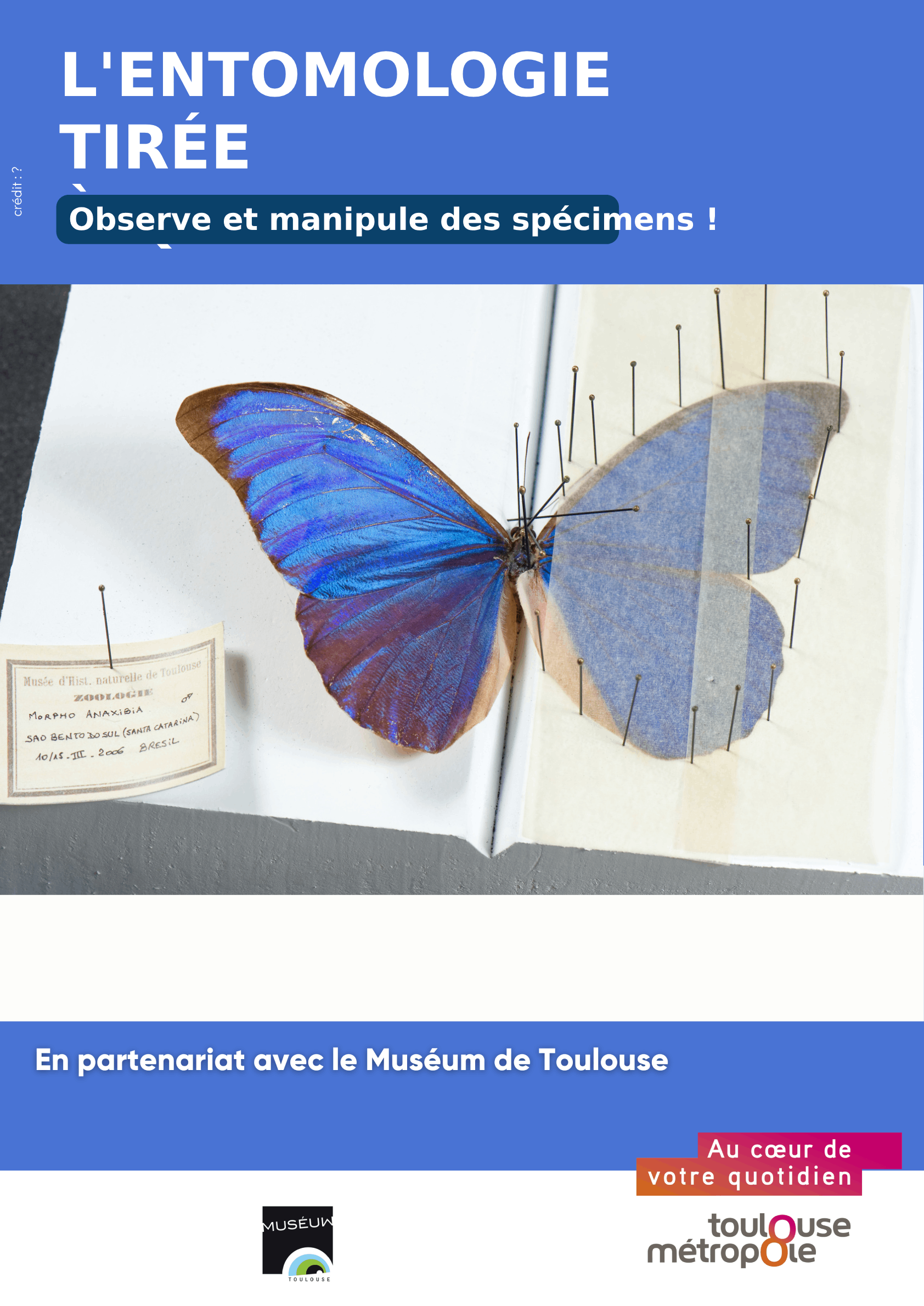Affiche de l'exposition "L'entomologie tirée à 4 épingles"