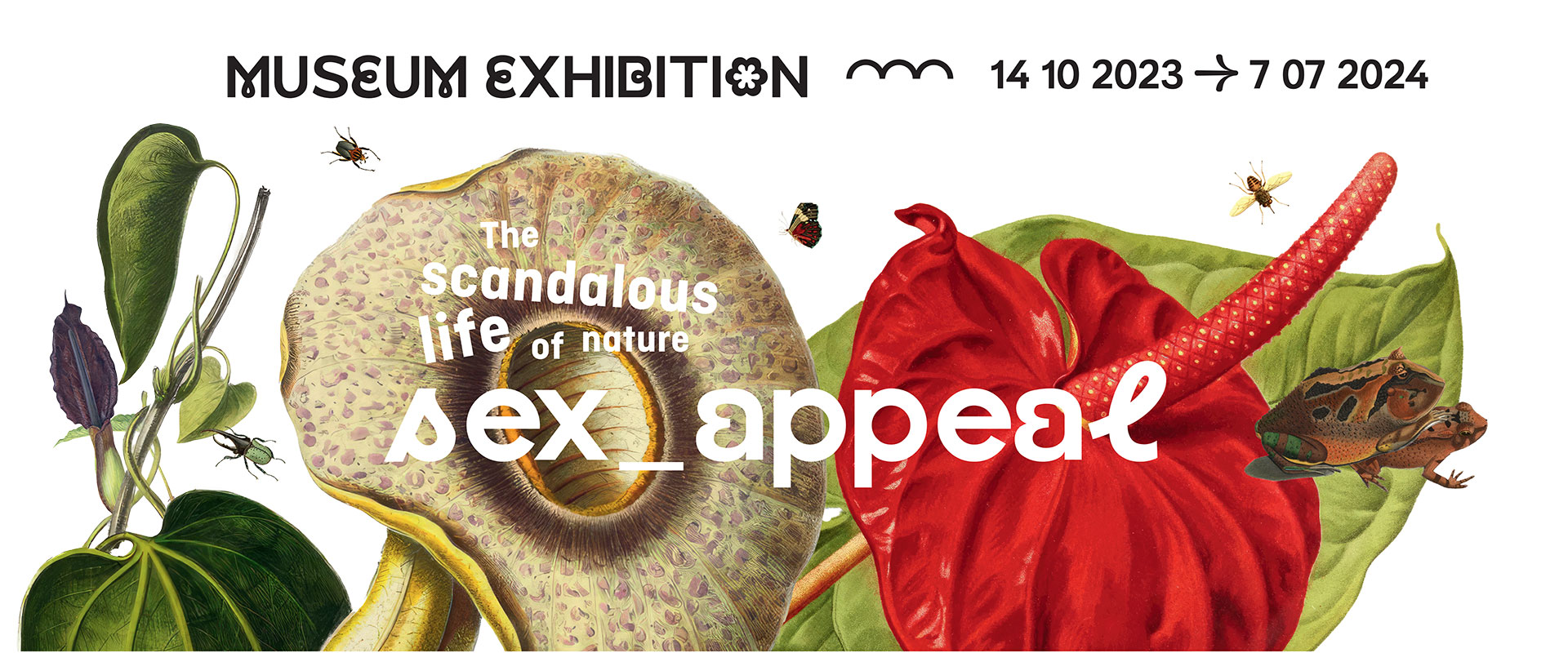 Sex-appeal exhibition