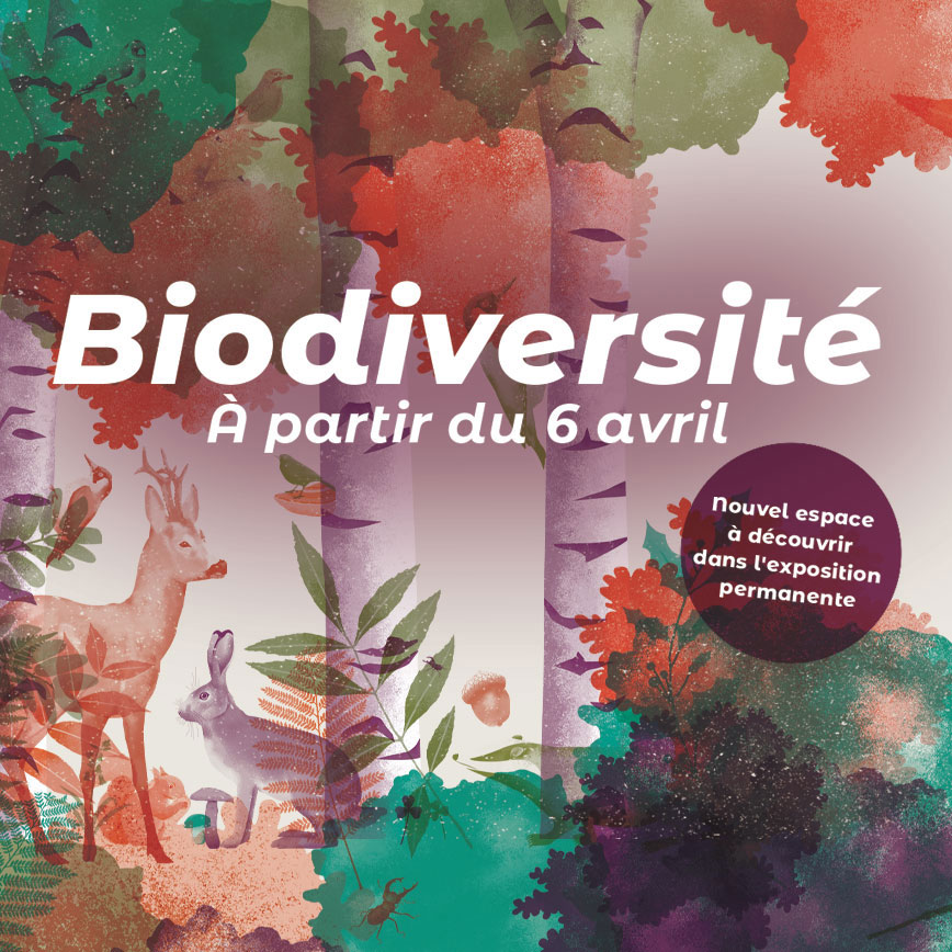 espace Biodiversité