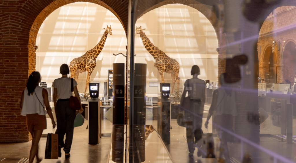 grand carré du Muséum