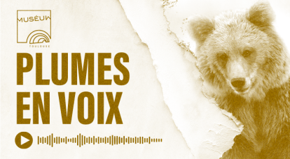 Livres audio – Plumes en Voix : Dans la peau d’un ours