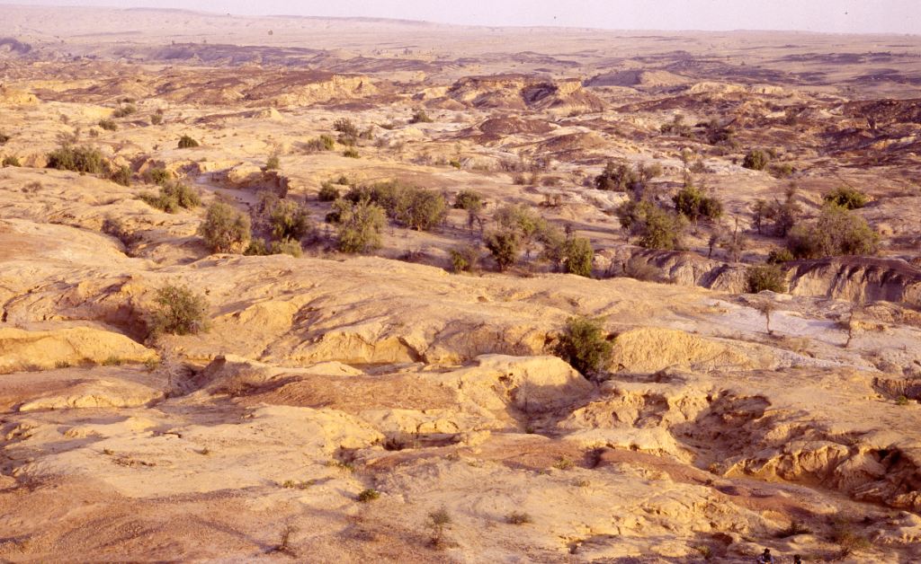 Vue des dépôts Miocènes du secteur de Khumbi (paléontologue rhinocéros)