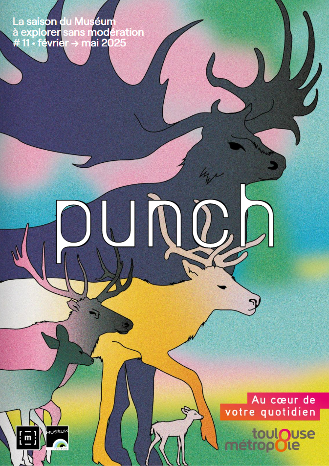 couverture du Punch numéro 11