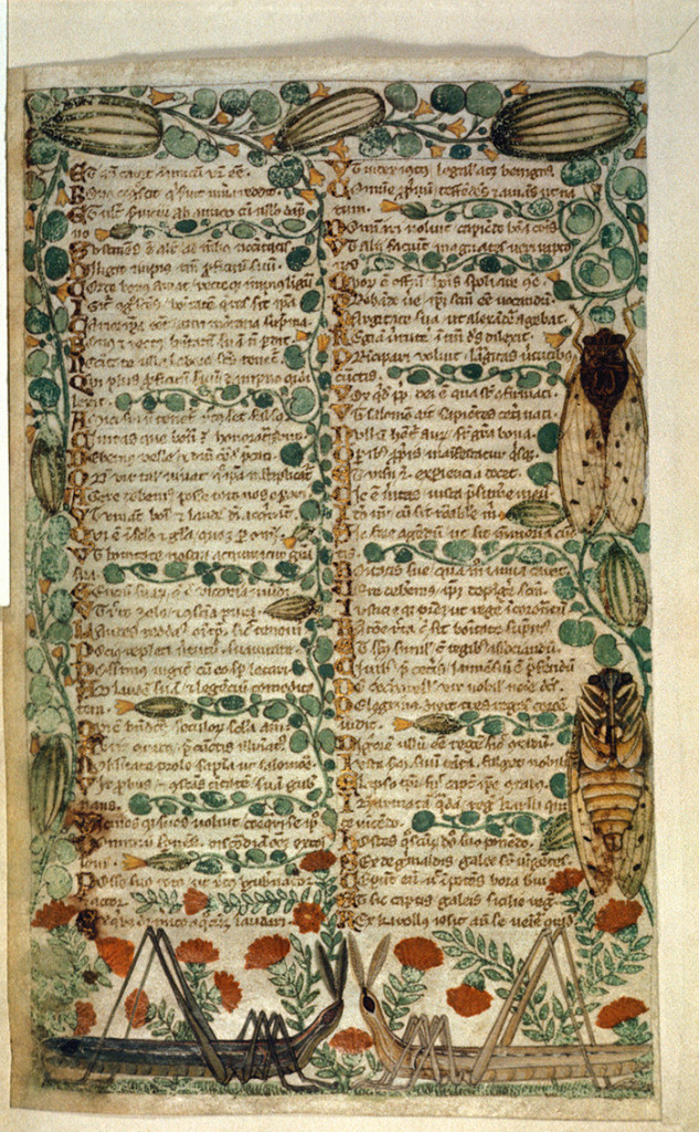 extraits du manuscrit