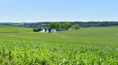 Les nouvelles espèces de mammifères fossiles découvertes à Montréal-du-Gers