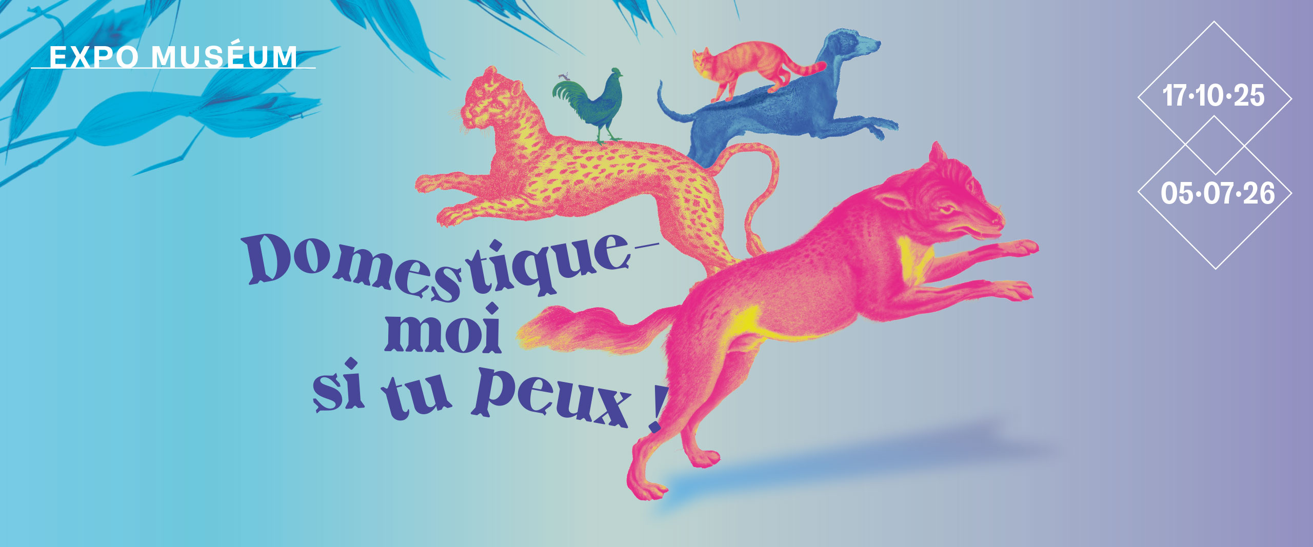 Domestique moi si tu peux