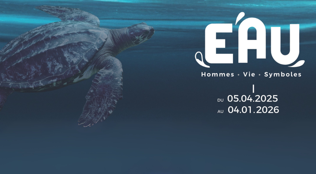 expo eau