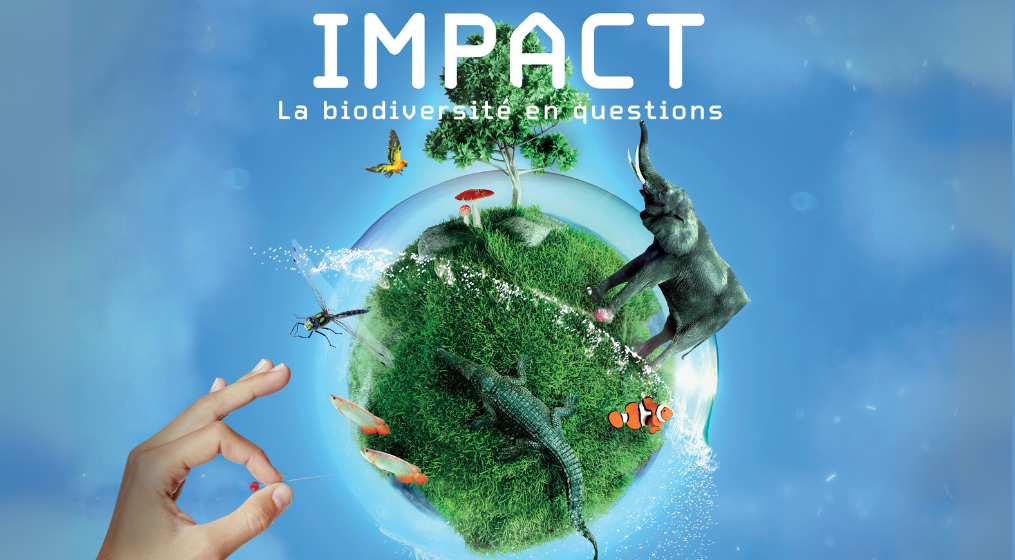 expo impact
