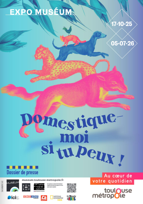 affiche expo Domestiques