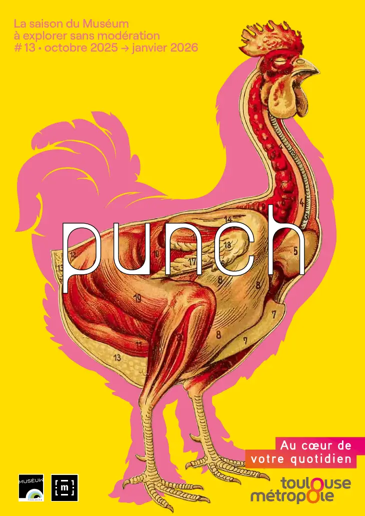couverture du Punch numéro 13