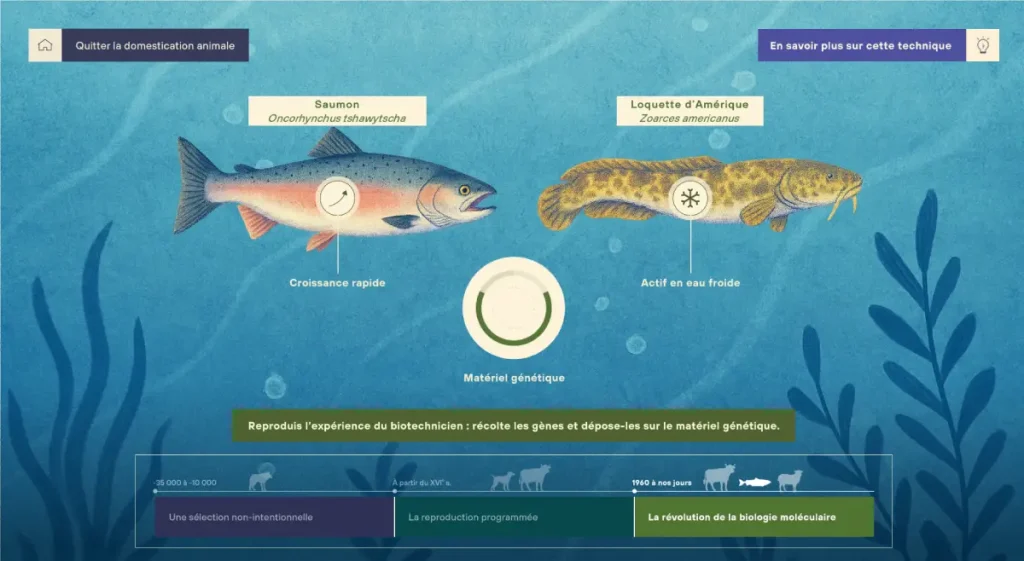 capture d'écran du jeu "Comment domestiquer ?" avec des saumons