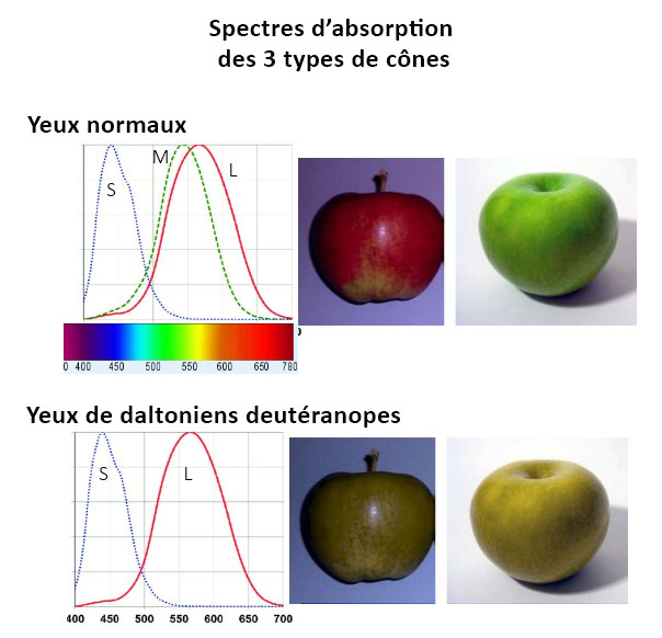 Spectres absorption