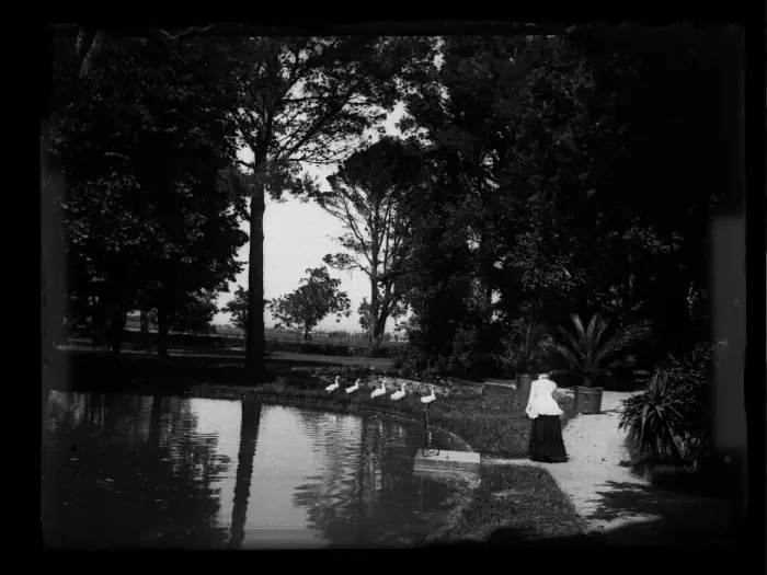 Mme Boyer et ses oies