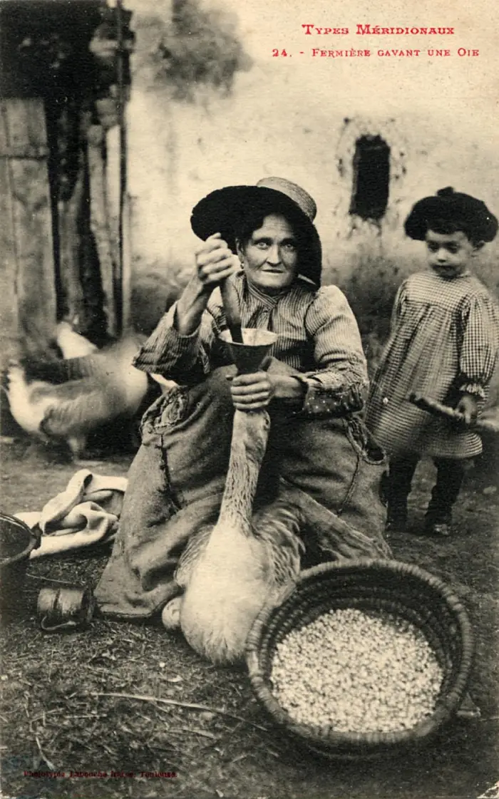 Carte postale d'une fermière gavant une oie
