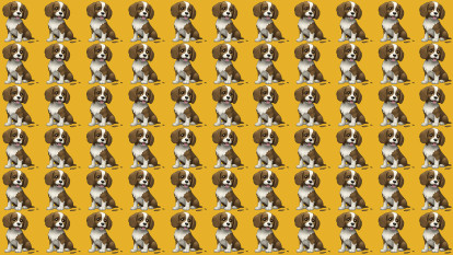 Clone-moi mon toutou