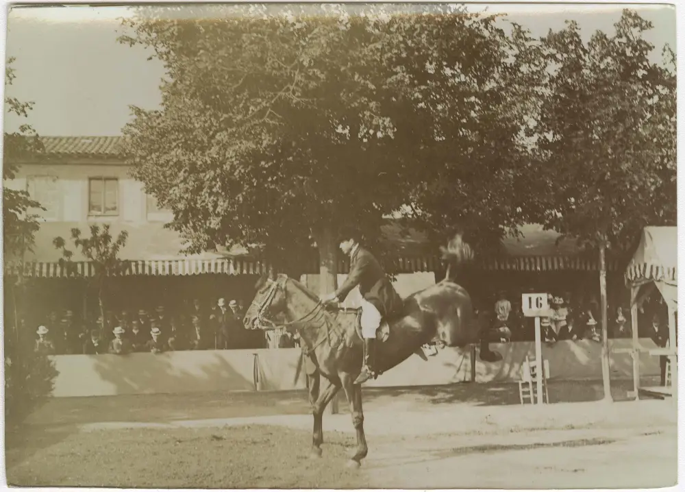 Concours de saut d'obstacles