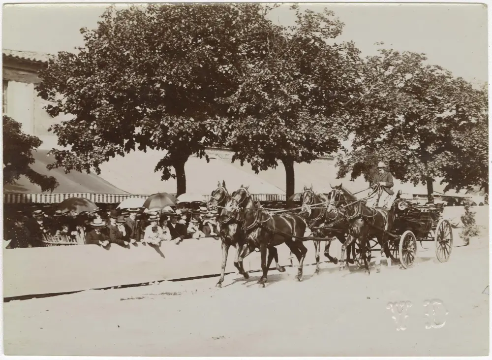 Concours d'attelages