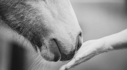 Concours photo Instagram 2026