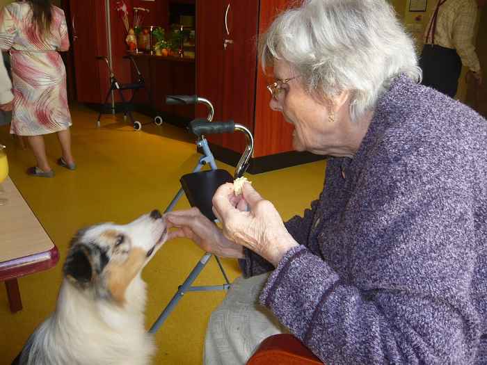 chien et femme âgée en séance de cynothérapie