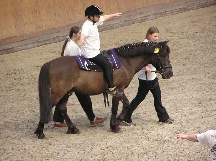 Adolescent en cours de thérapie sur un cheval