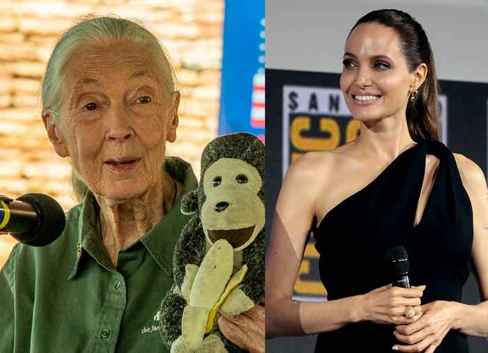Jane Goodwall et Angelina Jolie
