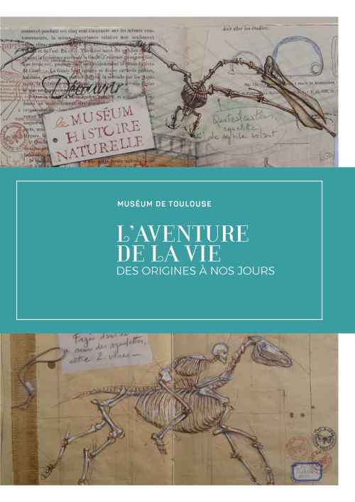 L'aventure de la vie, des origines à nos jours