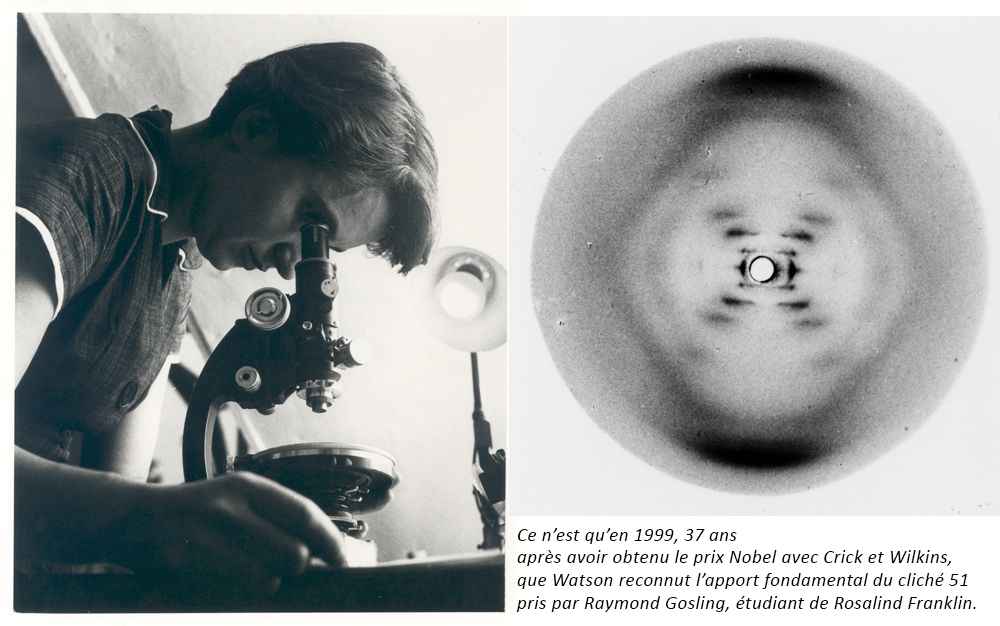 Rosalind Franklin