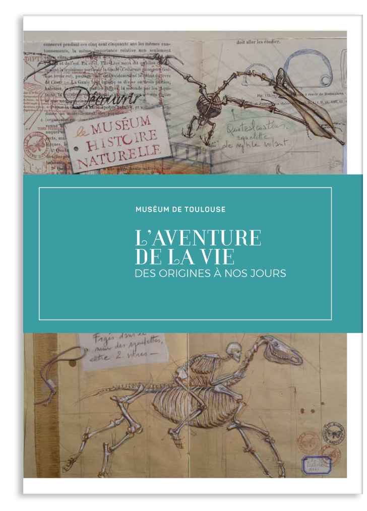 L'aventure de la vie, des origines à nos jours