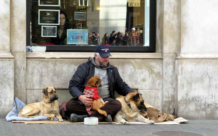 Homme sans domicile assis dans la rue avec ses 3 chiens