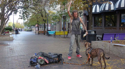 Chiens et vie à la rue : ce que révèle la relation entre humains et animaux