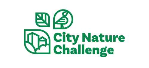 City Nature Challenge