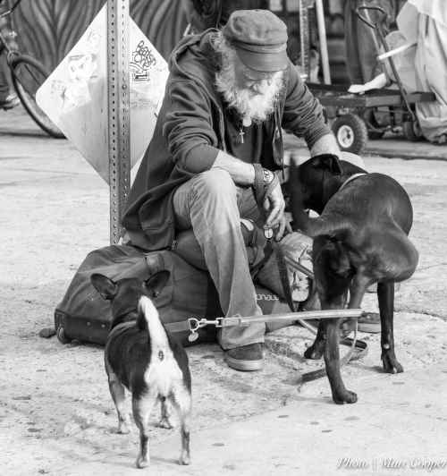 Viel homme assis avec ses deux chiens dans la rue