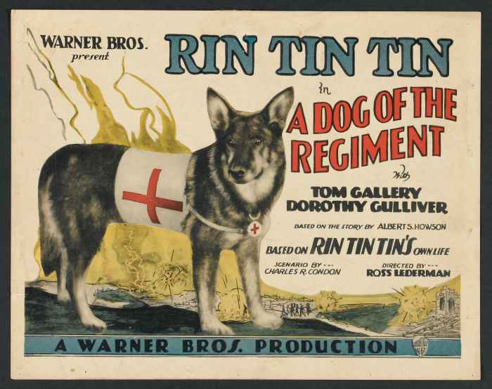 Affiche du film basé sur l’histoire de Rintintin