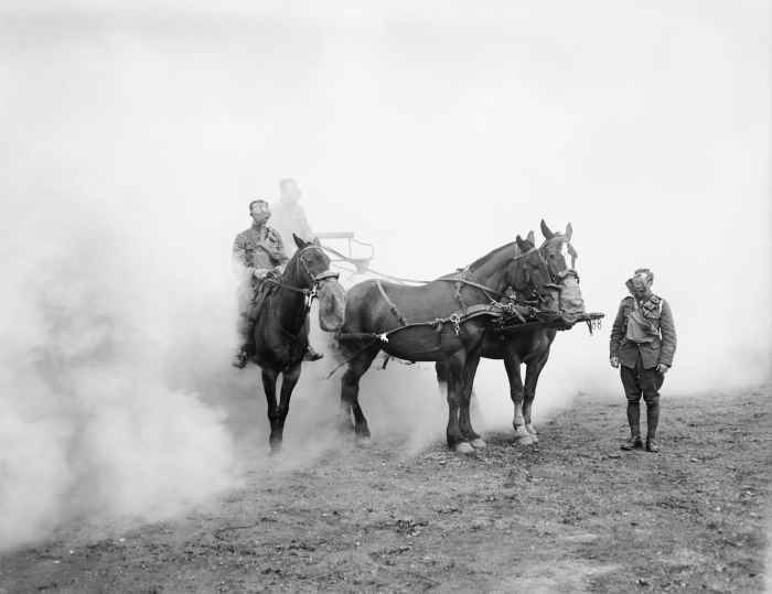 Les hommes et les chevaux de l'Army Service Corps. Animaux soldats