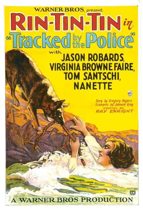 Affiche du film Tracked by the Polic