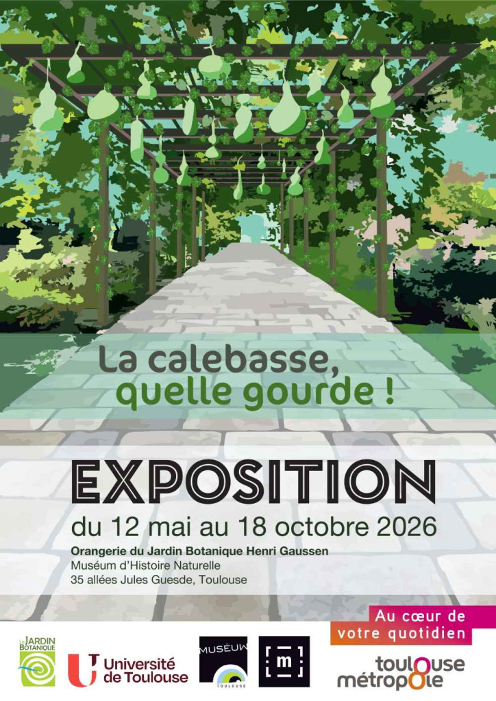la calebasse, quelle gourde, exposition
