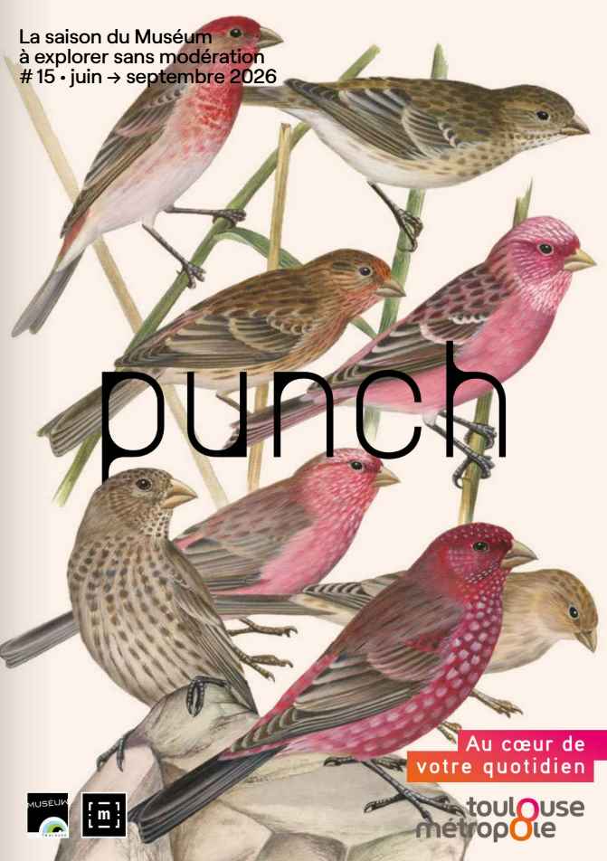 couverture du Punch numéro 15