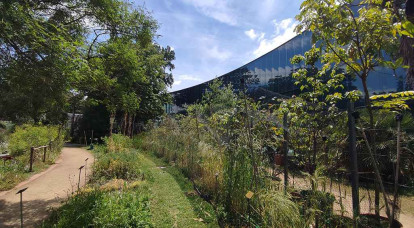 Les céréales : des plantes domestiquées qui ont façonné les sociétés humaines