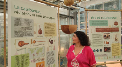Le mate burilado, une calebasse qui parle : rencontre avec Alice Langlois