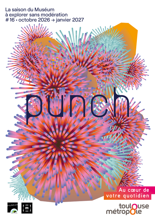 couverture du Punch numéro 16